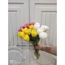 Bó hoa tulip khô (0563)