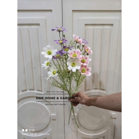 Cành cúc cánh bướm 5 bông (0566)