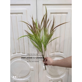 Cụm cỏ mật đại (0583)