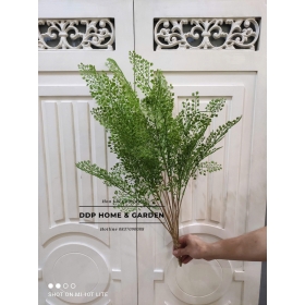Cụm lá đuôi cá (0569)