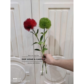 Cành hoa cẩm chướng Nhật (0584)
