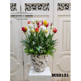 Chậu hoa tulip để bàn (2131)
