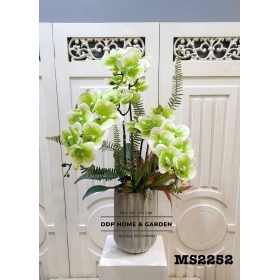 Chậu hoa lan hồ điệp xanh (2252)