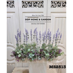 Bồn hoa lavender tím (2513)
