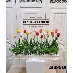 Bụi hoa tulip (2514)