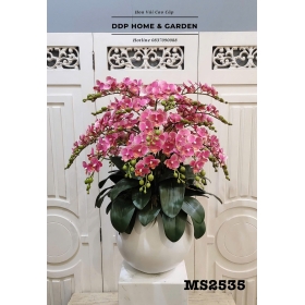 Chậu tiểu hồ điệp (hoa lụa cao cấp 2535)