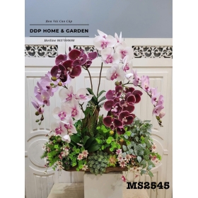 Chậu gỗ ghép lan hồ điệp (2545)