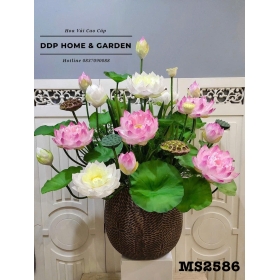 Chậu hoa sen hồng nghệ nhân (2586)