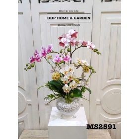 Bình hoa tiểu hồ điệp (2591)
