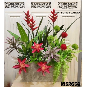 Chậu cây thiên điểu và lưỡi hổ (2634)