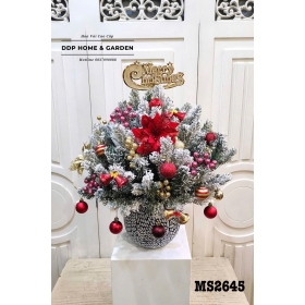 Chậu cây thông để bàn (2645)