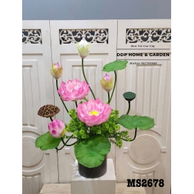 Chậu hoa sen Tây Hồ (2678)