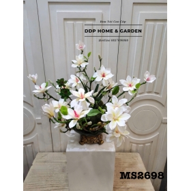 Chậu hoa ngọc lan trắng (2698)