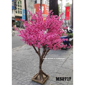 Cây hoa đào hồng (2717)