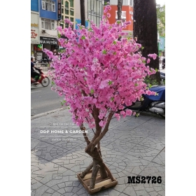 Cây hoa đào hồng phấn (2726)