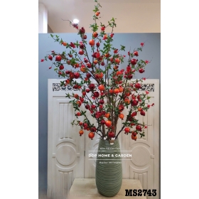 Chậu cây lựu trang trí Tết (2743)