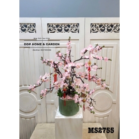 Chậu hoa đào hồng kép (2755)