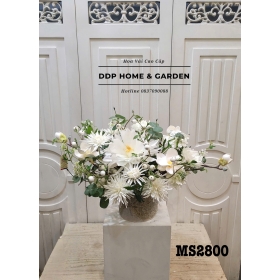 Chậu hoa quỳnh để bàn (2800)