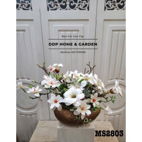 Chậu hoa mộc lan trắng (2803)