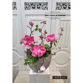 Chậu hoa mộc lan cổ (2806)