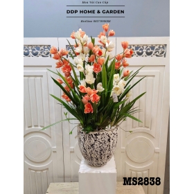 Chậu hoa địa lan cam (2838)