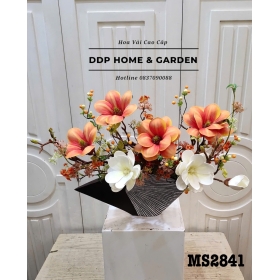 Chậu hoa mộc lan cam cánh tròn (2841)