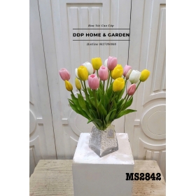 Bình hoa tuli để bàn (2842)
