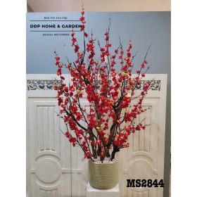 Chậu hoa đào đỏ (2844)