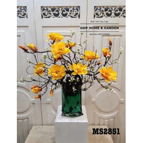 Chậu hoa mộc lan vàng (2851)
