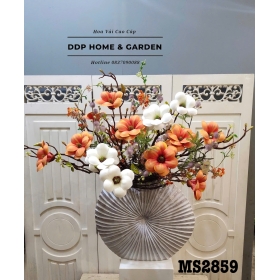 Chậu hoa mộc lan trắng cam (2859)