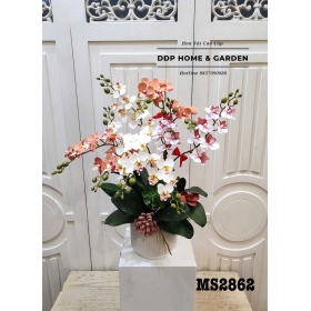 Chậu hoa tiêu hồ điệp (2862)