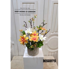 Chậu hoa ngọc lan để bàn (2875)
