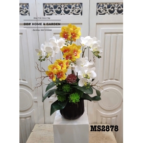 Chậu hoa la hồ điệp trắng cam (2878)