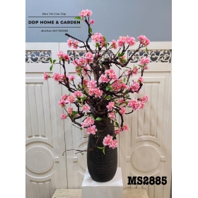 Chậu hoa anh đào kép hồng (2885)