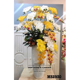 Chậu hoa lan hồ điệp nghệ thuật (2930)