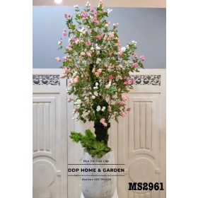 Chậu cây hồng tỉ muội (2961)