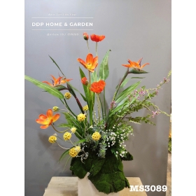 Cụm hoa tulip (3089)
