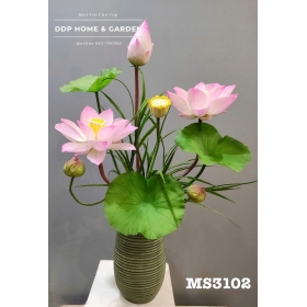 Chậu hoa sen Thái nhập khẩu (3102)