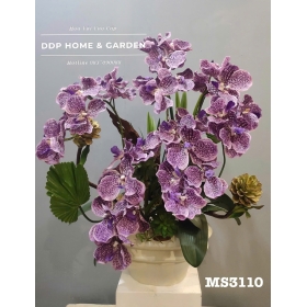 Chậu hoa lan vanda tím (3110)