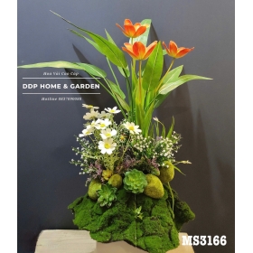 Khóm hoa tulip (3166)