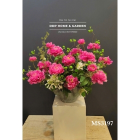 Chậu hoa mẫu đơn hồng sen (3197)