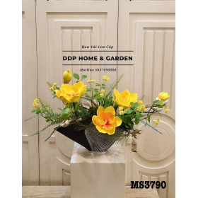 Chậu hoa mộc lan vàng (3790)