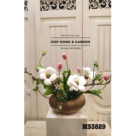 Chậu hoa mộc lan trắng (3829)