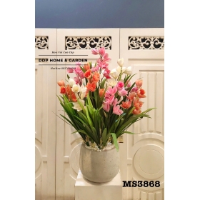 Chậu hoa địa lan để bàn (3868)