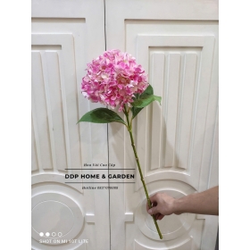 Cành hoa tú cầu lớn (0577)