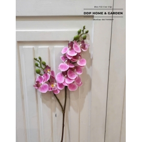 Cành hoa tiểu hồ điệp 2 nhánh (0570)
