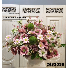 Chậu mộc lan bách hợp (3039)