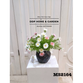 Bình hoa cúc họa mi để bàn (2164)