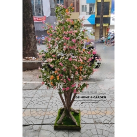 Cây hồng tỉ muội