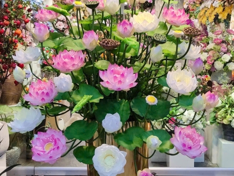 HOA TRANG TRÍ HỘI TRƯỜNG,CƠ QUAN